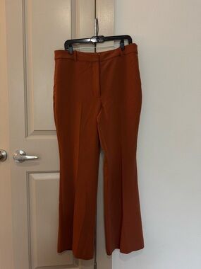 Aritzia Rust Wide-Leg Dress Pants